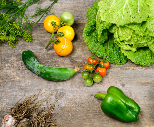 istock Fresh tomatoes, cabbage, radish, paper, garlyc and dill on wooden table, top view 1445810056
