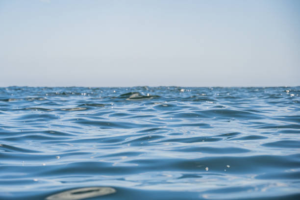 istock Endless view of the ocean from sea level 1445812670