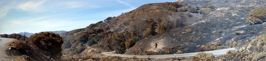 Road runs through burnt hillside after fire on Angel Island in San Francisco Bay.  Panoramic