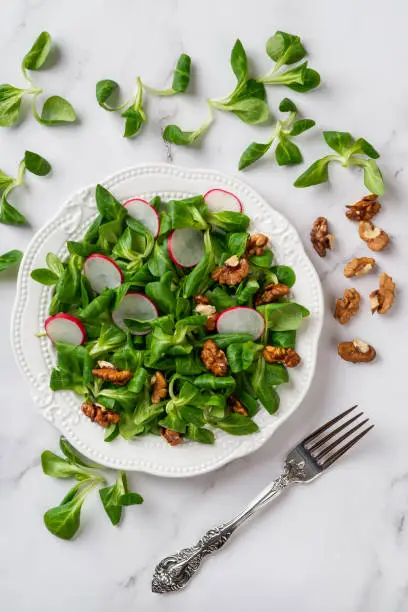 Lambs lettuce, radish and walnuts salad. Plate of cornsalad leaves, sliced radish and nut kernels on marble surface. Vitamin vegetable salad for low calories slimming diet. Vertical frame. Top view.