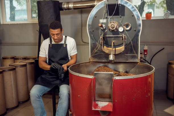 istock Professional African American roast master preparing for work 1445817544