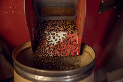 Close-up of roasted high-quality Arabica beans falling from the release chute into an empty container