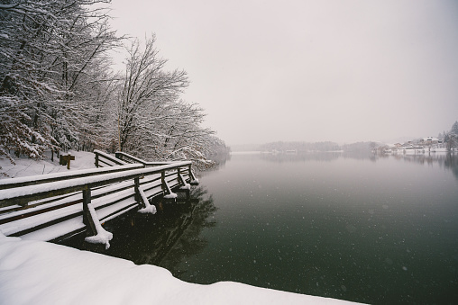 Winter by the lake