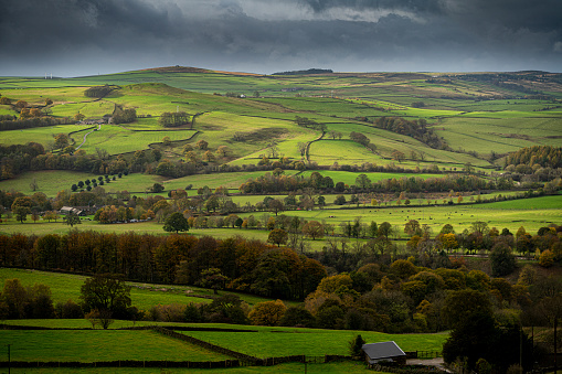 General colour scenic view in vicinity of the Duke of Devonshire Estate Bolton Abbey, North Yorkshire