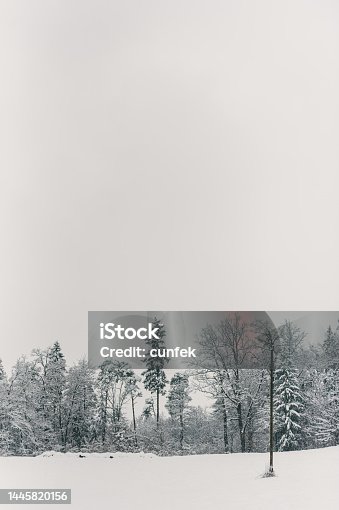 istock Winter Landscape with Snow and Trees 1445820156