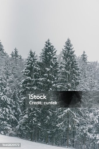 istock Winter Landscape 1445820172