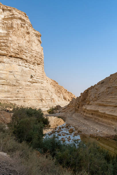 istock Ein Avdat a beautiful canyon with a stream running through it and waterfall in southern Israel. reflections in the water. 1445820482