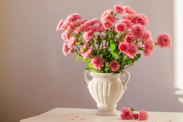 istock pink chrysanthemums in white vase on white interior 1445820939