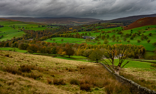General colour scenic view in vicinity of the Duke of Devonshire Estate Bolton Abbey, North Yorkshire