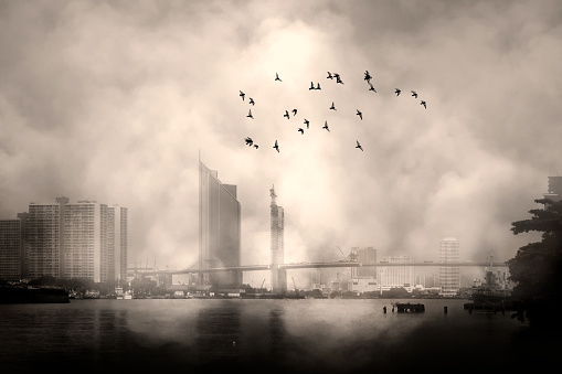 Air pollution and birds in smoke in Bangkok