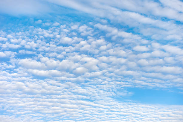 istock Blue sky with white clouds in sunny day 1445824816