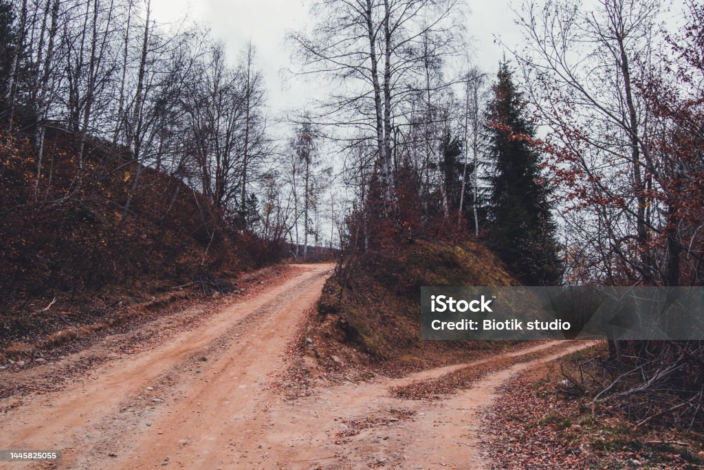 Luontopolku - Rojaltivapaa avainsanalla Ei ihmisiä ja tyyppiä Kuvapankin valokuva Luontopolku - Rojaltivapaa avainsanalla Ei ihmisiä ja tyyppiä Kuvapankin valokuva