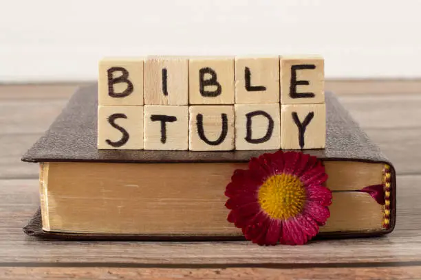 Bible study text on wood cubes, closed Holy Bible Book with golden pages, and flower on rustic table with white background. A close-up.