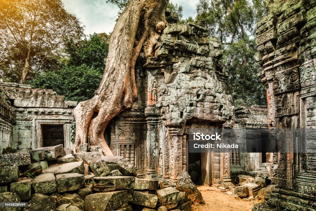 overgrown ruins of Ta Prohm temple at Angkor in Cambodia, Southeast Asia Ancient Stock Photo
