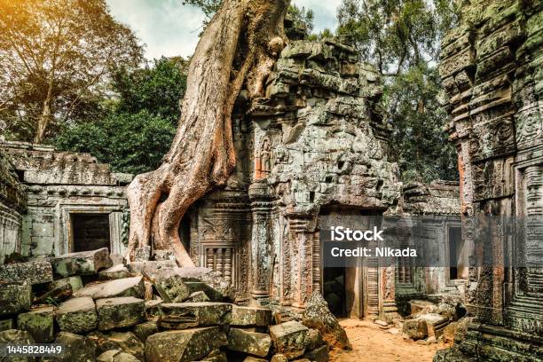 Overgrown Ruins Of Ta Prohm Temple At Angkor In Cambodia Southeast Asia Stock Photo - Download Image Now
