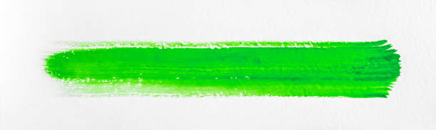 tratto di vernice verde su una carta bianca strutturata - oil painting brush stroke abstract green foto e immagini stock