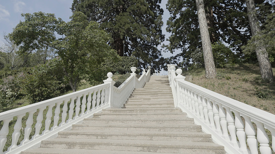 Bottom view of beautiful staircase leading to green trees. Action. Summer landscape with green bushes and white staircase