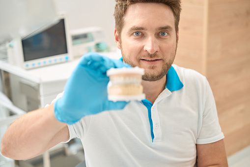 Portrait of young dentist in disposable nitrile glove holding model of the oral cavity