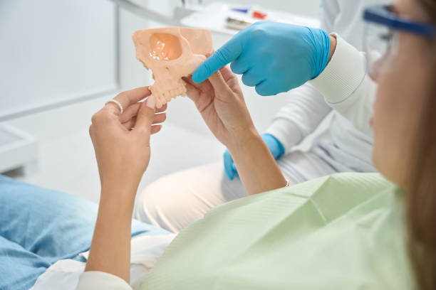 istock Dentist explaining structure of maxilla to female patient 1445836644