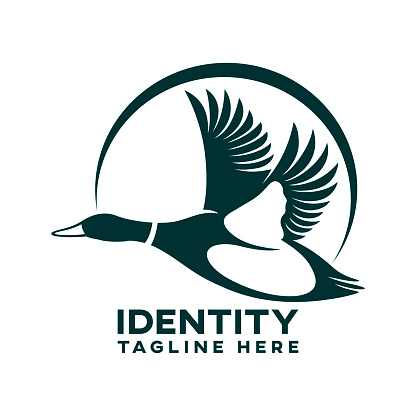 Modern duck and hunting logo