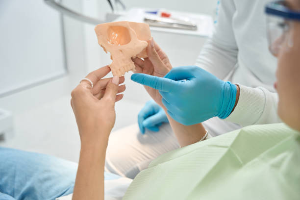 istock Stomatologist explaining structure of upper jawbone to client 1445836693