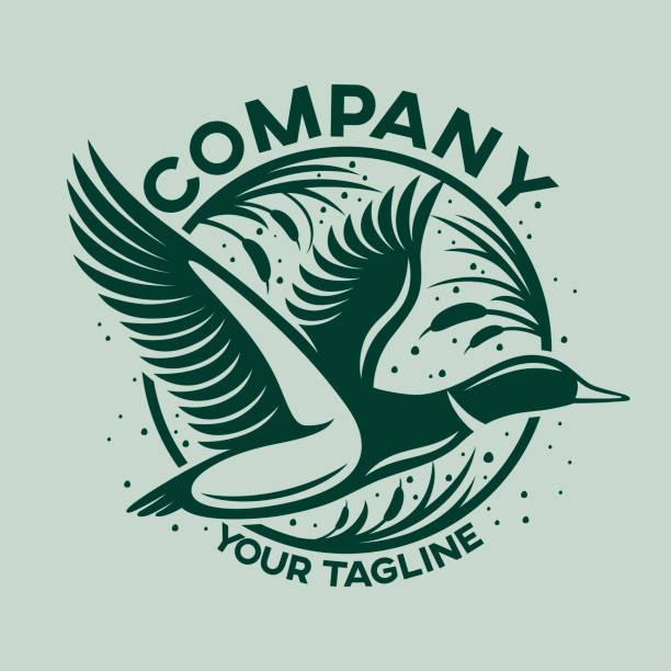modern duck and hunting logo - ördek su kuşu stock illustrations