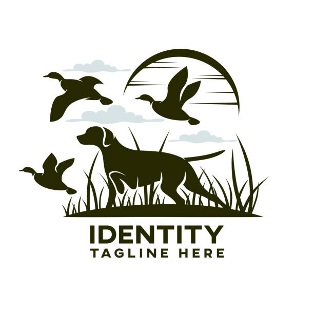 ilustraciones, imágenes clip art, dibujos animados e iconos de stock de logotipo moderno de caza de perros para patos - pato pájaro acuático