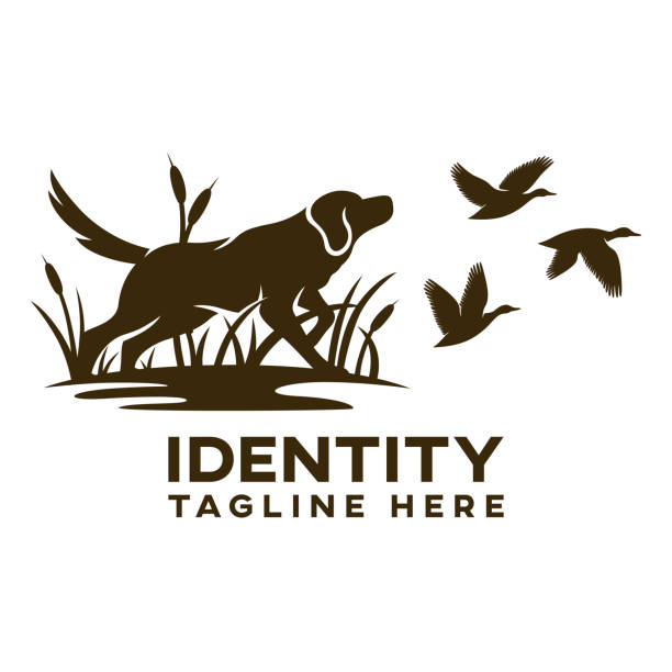 Modern dog hunting for ducks logo Modern dog hunting for ducks logo duck meat stock illustrations