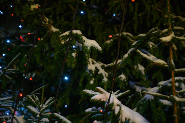 istock christmas lights hanging in a tree 1445837779
