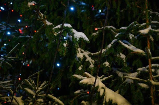 istock christmas lights hanging in a tree 1445837790