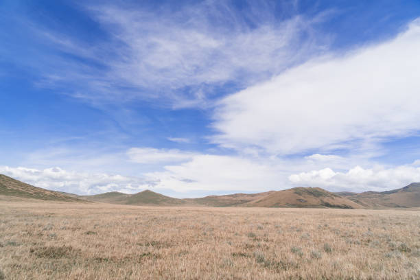 istock South America natural landscape 1445839944