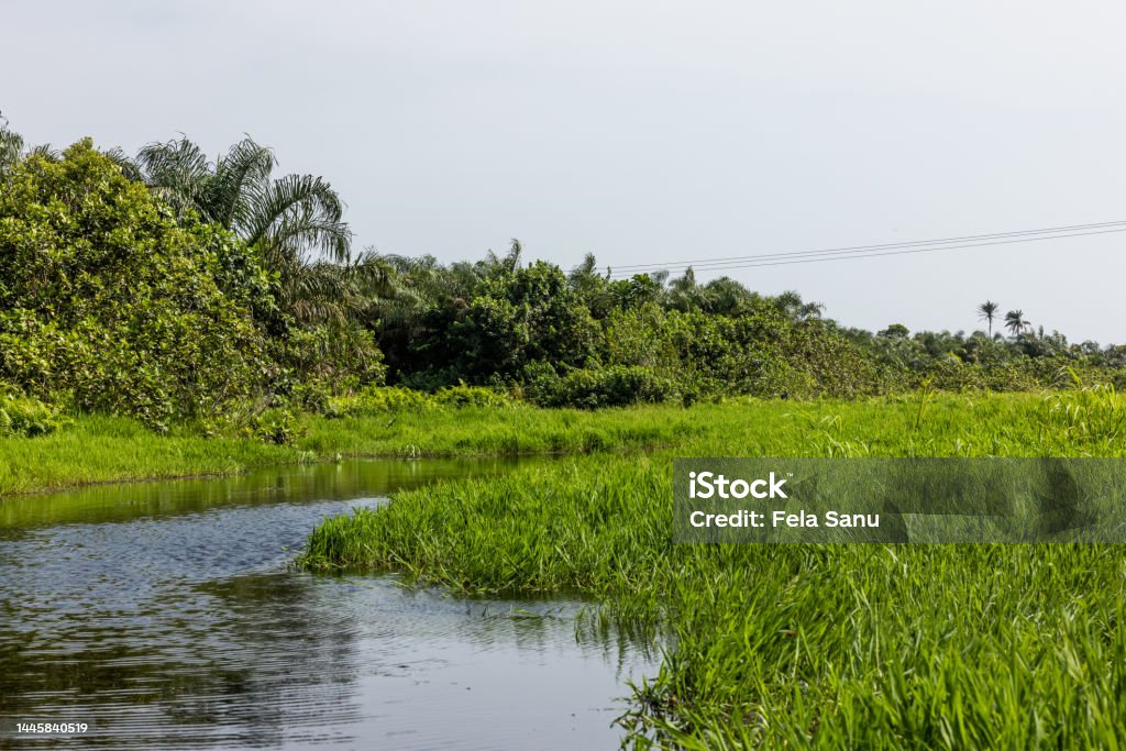 Epe Mangrove The mangrove is located in a serene environment in the coastal region of Epe. Epe is a very calm city far from the hustle and bustle of Lagos. Cloud - Sky Stock Photo