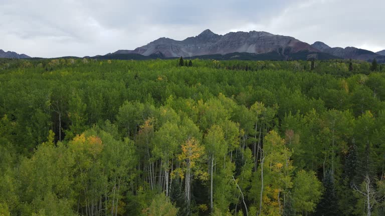 Drone View of Historic Mountain Ranch in Southwest Colorado in the San Juan Range of the Rocky Mountains Near Telluride with Vibrant Fall Colors on the Trees