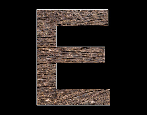 Uppercase letter E of the alphabet - Rustic tree cortex texture