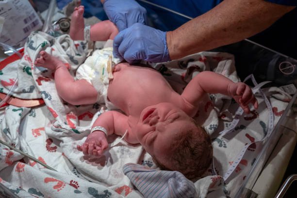istock Nurse putting diaper on newborn baby 1445848290