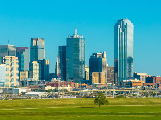 istock Aerial View of Downtown Dallas Skyline 1445851674