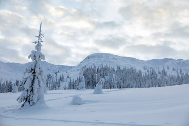 istock Snow on the mountains - beautiful winter landscape 1445857537
