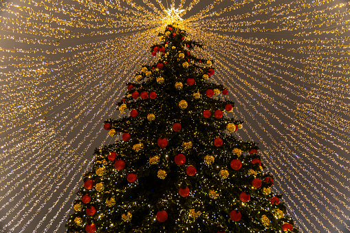 Feliz Año Nuevo y celebración navideña. Árbol de Navidad festivo con guirnaldas del año. photo