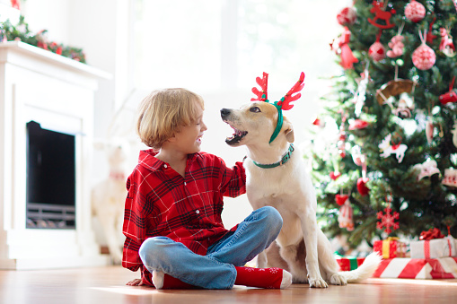 Christmas at home. Kids and dog in reindeer antlers under Xmas tree. Little child hug puppy in deer hat and open Christmas presents. Children play with pet. Winter holiday celebration.