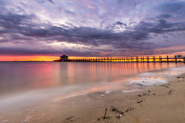 Chester Roberts Park on the Peace River, Port Charloote, Florida