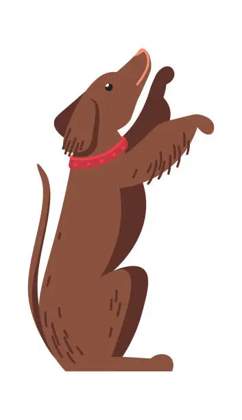 Vector illustration of Dog standing on hind legs Animal icon. Vector illustration