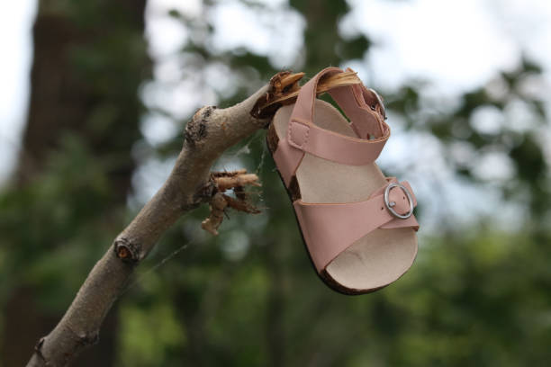 istock A child's pink sandal hanging from a dead tree branch 1445882711
