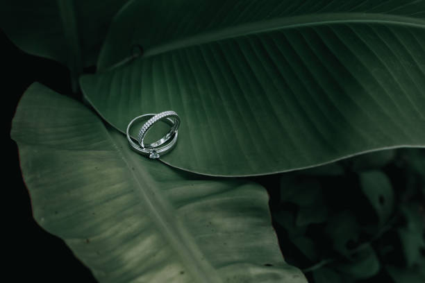 istock a pair of wedding rings on a leaf 1445887142