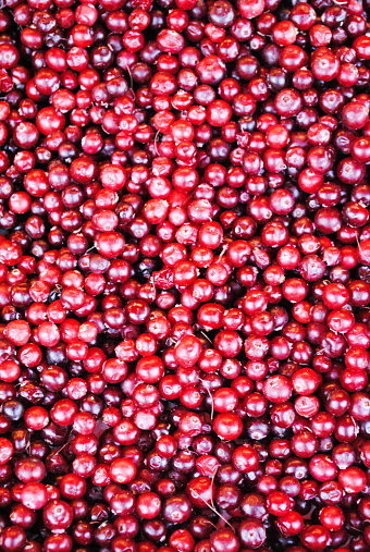 Cramberries background, vertical