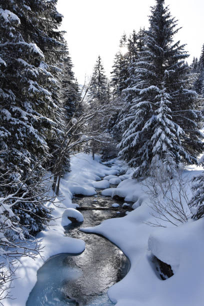 istock Swiss landscape in winter 1445890967