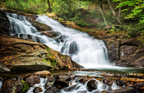 istock Magical Muskoka autumn pictures 1445894992
