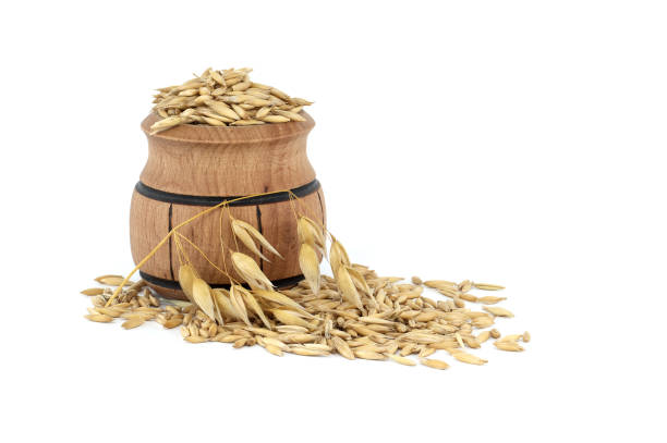 istock Oat grains with husk or hulls in wooden barrel 1445896620