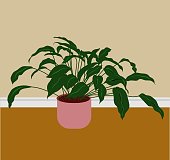 istock Potted Indoor Plant Tear Drop Leaves Salmon Pink Pot 1445899038