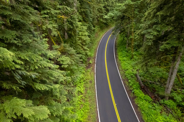 Aerial view of a two lane highway in the Mt Hood National Forest, Oregon.