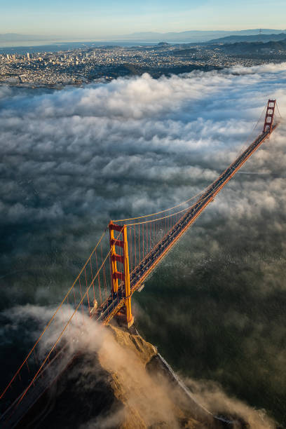 istock Aerial shots of San Francisco 1445904627